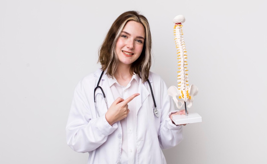 Doctor holding a spine model demonstrating spine health